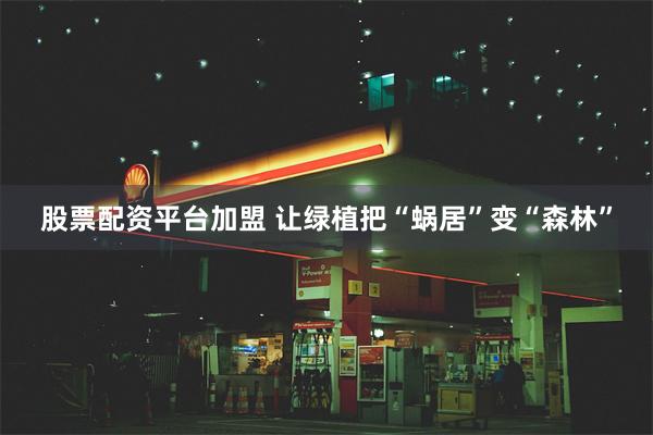 股票配资平台加盟 让绿植把“蜗居”变“森林”