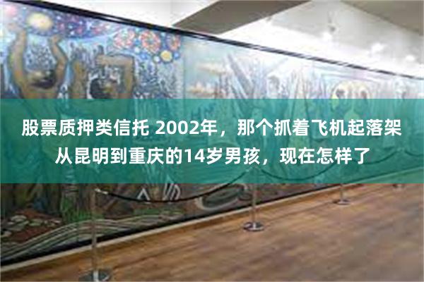 股票质押类信托 2002年，那个抓着飞机起落架从昆明到重庆的14岁男孩，现在怎样了