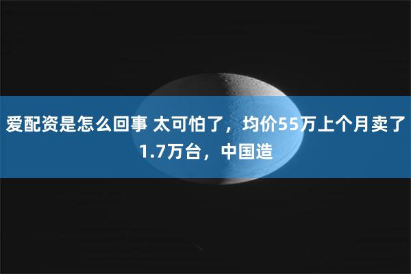 爱配资是怎么回事 太可怕了，均价55万上个月卖了1.7万台，中国造