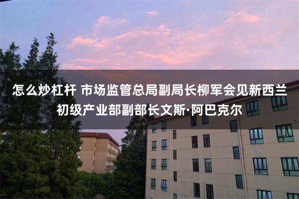 怎么炒杠杆 市场监管总局副局长柳军会见新西兰初级产业部副部长文斯·阿巴克尔