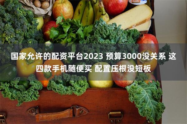 国家允许的配资平台2023 预算3000没关系 这四款手机随便买 配置压根没短板