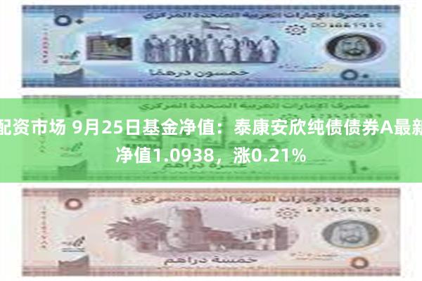 配资市场 9月25日基金净值：泰康安欣纯债债券A最新净值1.0938，涨0.21%