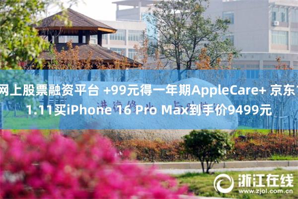 网上股票融资平台 +99元得一年期AppleCare+ 京东11.11买iPhone 16 Pro Max到手价9499元