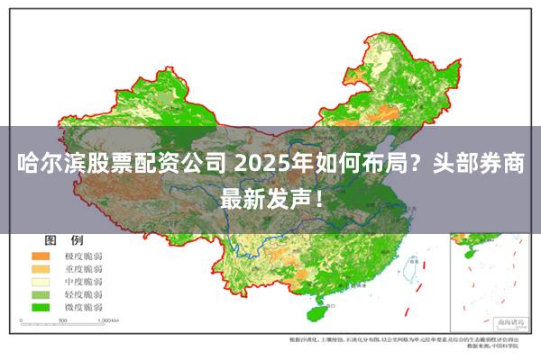 哈尔滨股票配资公司 2025年如何布局？头部券商最新发声！