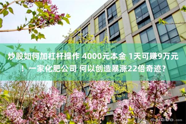 炒股如何加杠杆操作 4000元本金 1天可赚9万元！一家化肥公司 何以创造暴涨22倍奇迹？