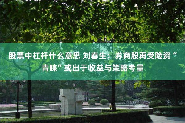 股票中杠杆什么意思 刘春生：券商股再受险资“青睐”或出于收益与策略考量