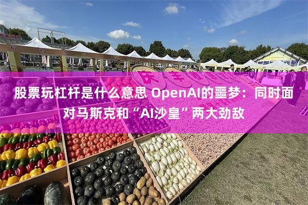 股票玩杠杆是什么意思 OpenAI的噩梦：同时面对马斯克和“AI沙皇”两大劲敌