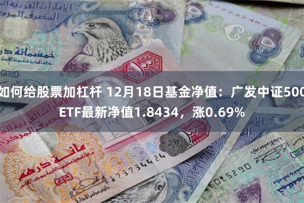 如何给股票加杠杆 12月18日基金净值：广发中证500ETF最新净值1.8434，涨0.69%