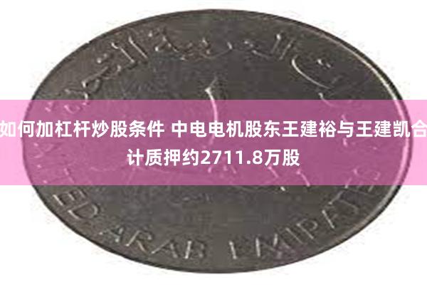 如何加杠杆炒股条件 中电电机股东王建裕与王建凯合计质押约2711.8万股