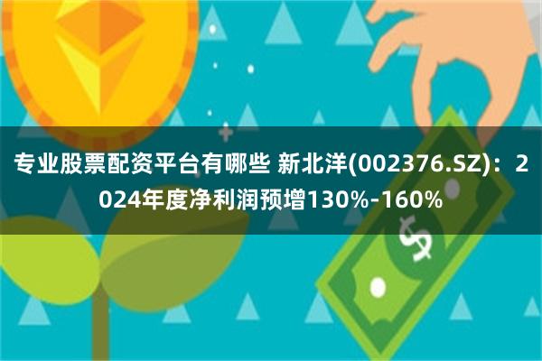 专业股票配资平台有哪些 新北洋(002376.SZ)：2024年度净利润预增130%-160%