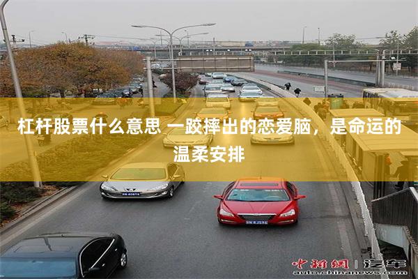 杠杆股票什么意思 一跤摔出的恋爱脑，是命运的温柔安排