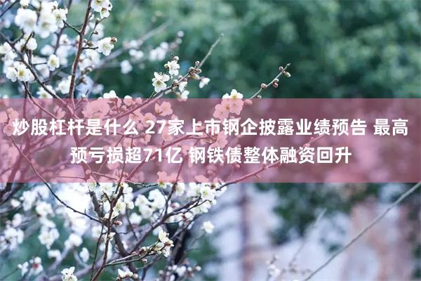 炒股杠杆是什么 27家上市钢企披露业绩预告 最高预亏损超71亿 钢铁债整体融资回升